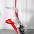 Elena Janès - Tissue Aérien a Oise Pole Studio by vortex60